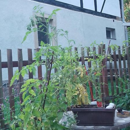 Zum Stillen Himmelbett In Lichtenwalde Niederwiesa Exterior foto