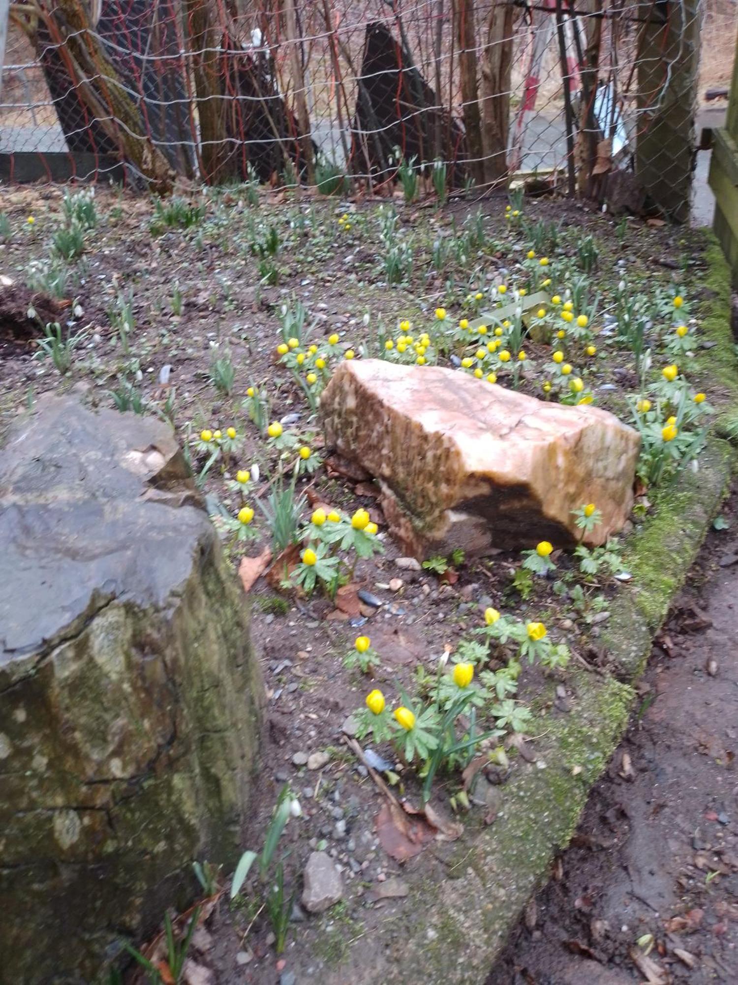 Zum Stillen Himmelbett In Lichtenwalde Niederwiesa Exterior foto